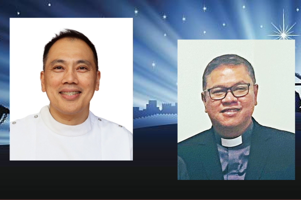 Philippines: Amplified Provincial Council