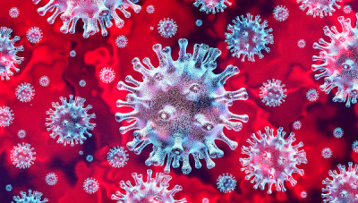 Uno sguardo diverso sui Virus
