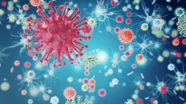 El fenómeno de Coronavirus: tiempo propicio para florecer las relaciones humanas