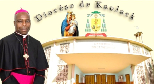 Au service du d&eacute;veloppement humain int&eacute;gral. La r&eacute;alisation d&rsquo;une partie du projet de ferme avicole et porcine pour le dioc&egrave;se de Kaolack