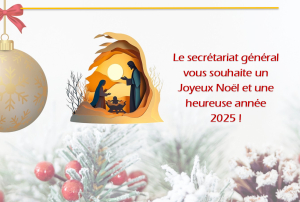 Joyeux No&euml;l et une heureuse ann&eacute;e 2025 !